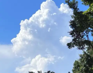 临沧天气预报,临沧7天天气预报,临沧15天天气预报,临沧天气查询